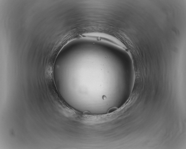 X0000115730045200911121521