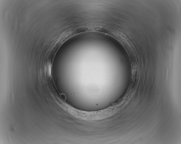 X0000115730046200911121521