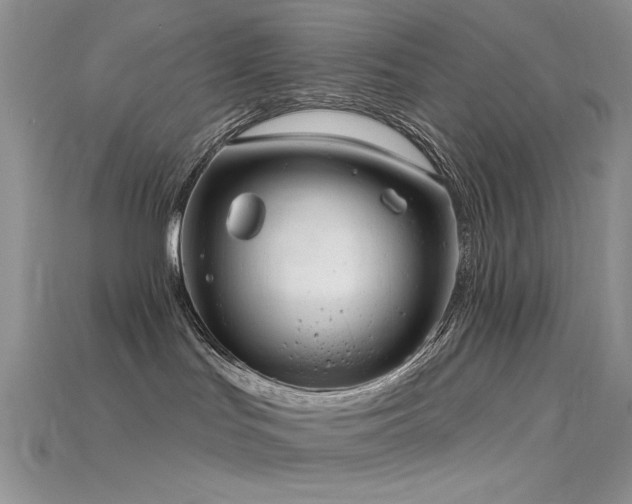 X0000115730047200911121521