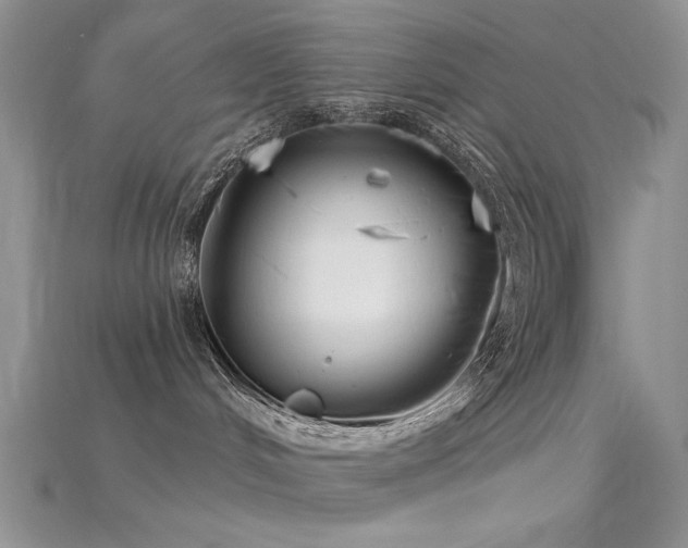 X0000115730048200911121521