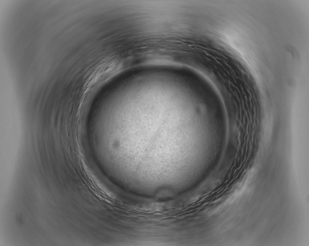 X0000115730049200911121520