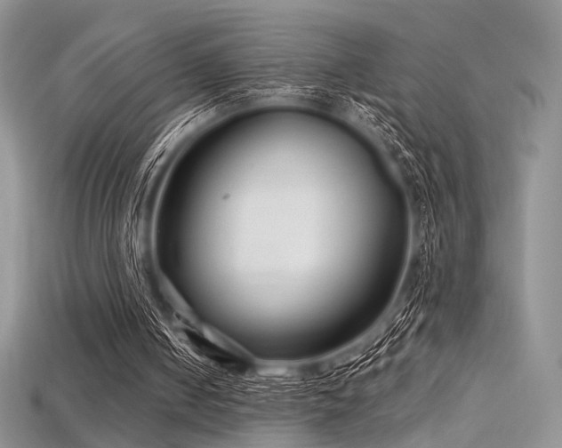 X0000115730050200911121520