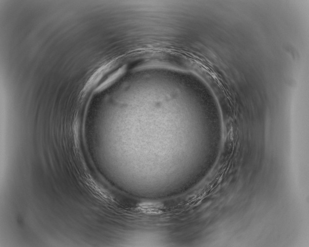 X0000115730051200911121520