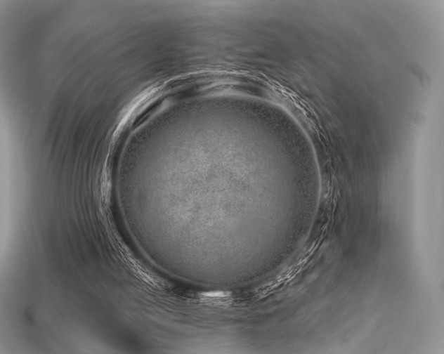 X0000115730053200911121520