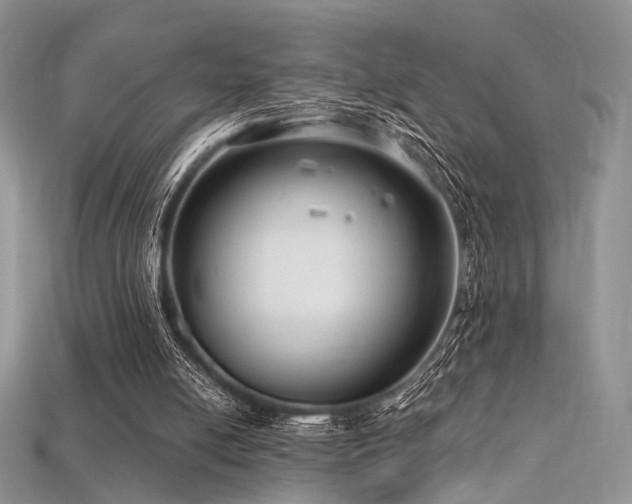 X0000115730054200911121520