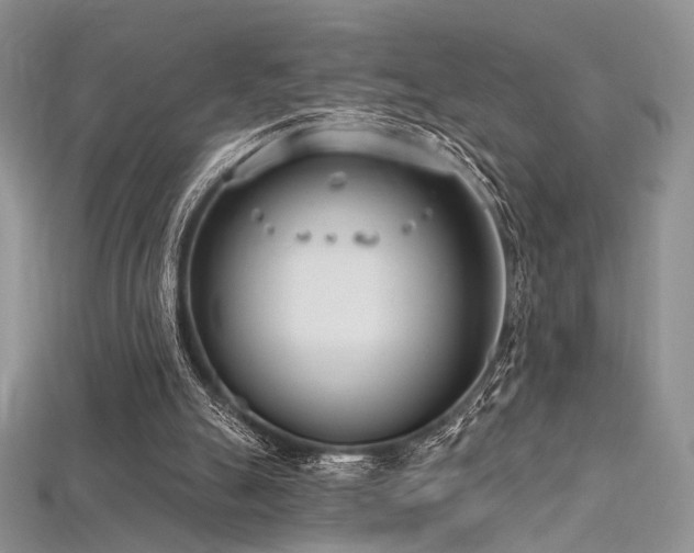 X0000115730055200911121520