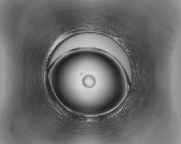 X0000115730056200911121520