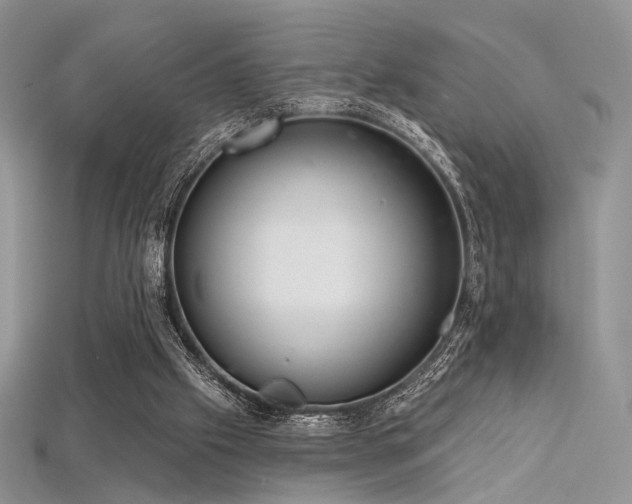 X0000115730057200911121520