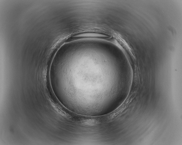 X0000115730058200911121520