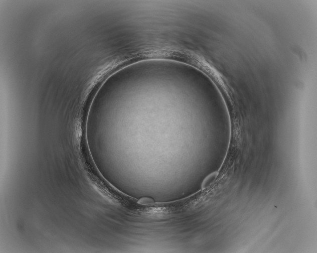 X0000115730059200911121520