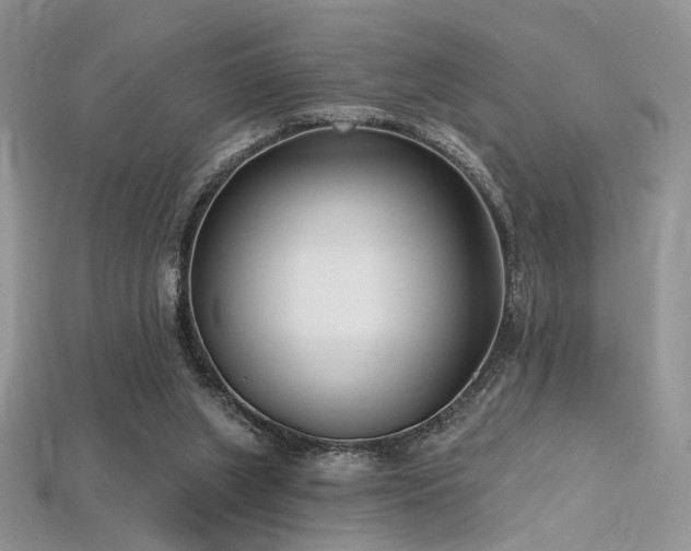 X0000115730063200911121520