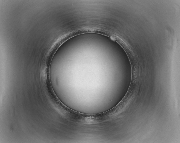 X0000115730064200911121520