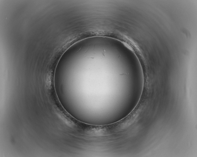 X0000115730065200911121520