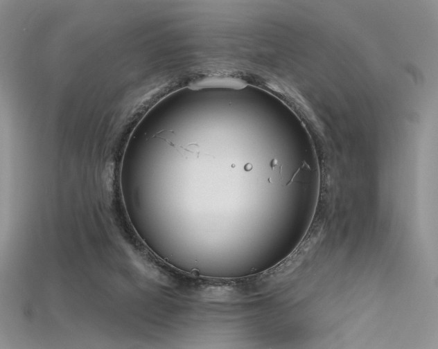 X0000115730066200911121521