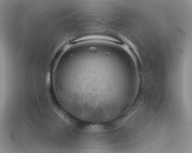 X0000115730067200911121521