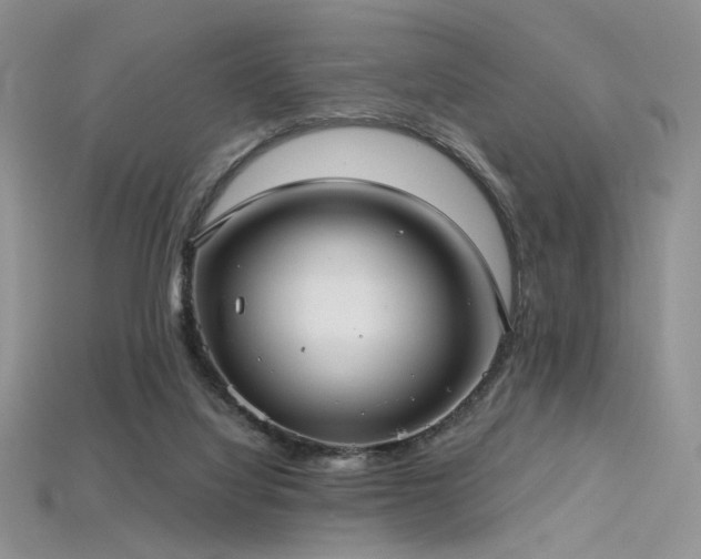 X0000115730068200911121521