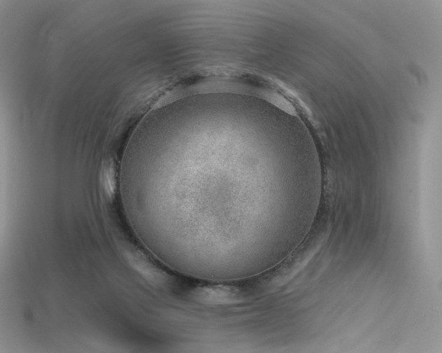 X0000115730069200911121521