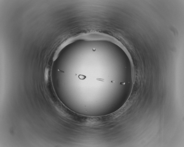 X0000115730070200911121521