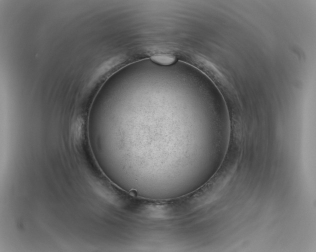 X0000115730071200911121521