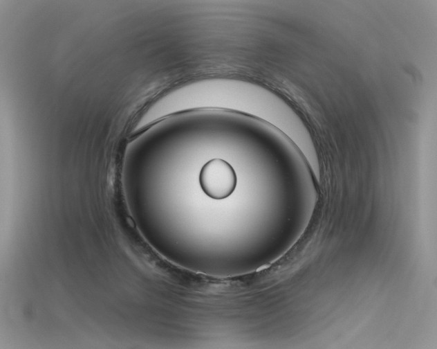 X0000115730072200911121521