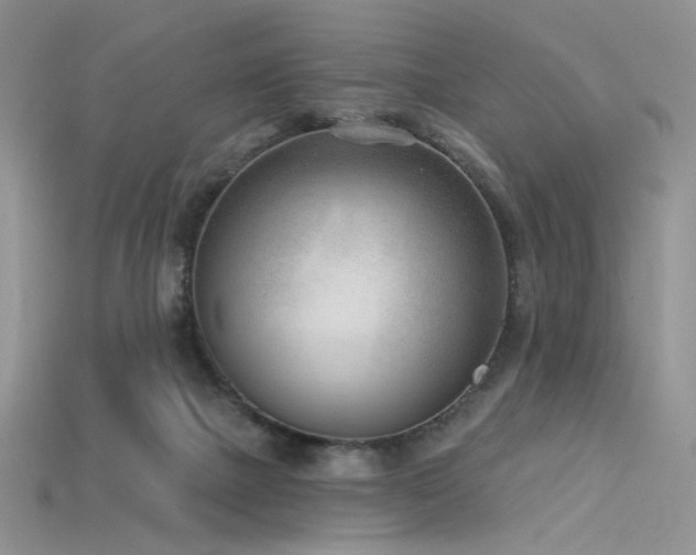 X0000115730073200911121521