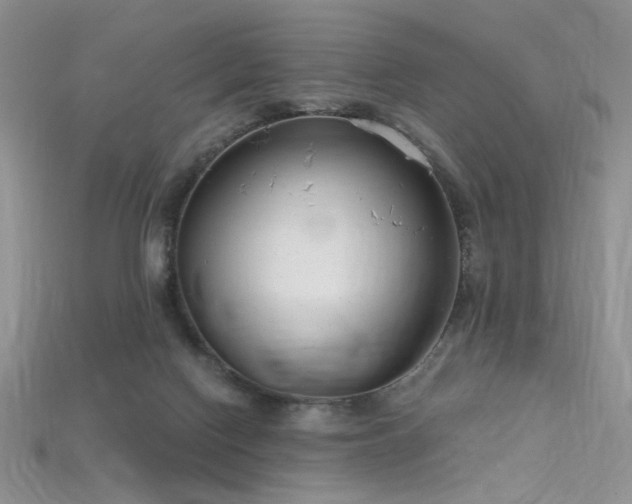 X0000115730074200911121521