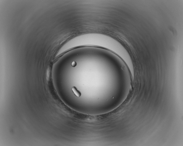 X0000115730076200911121521