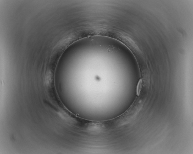 X0000115730077200911121521