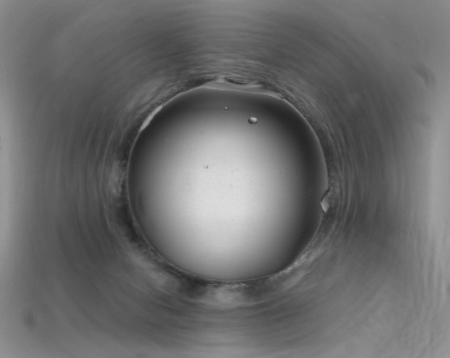 X0000115730078200911121521