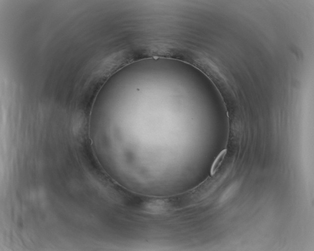 X0000115730079200911121521