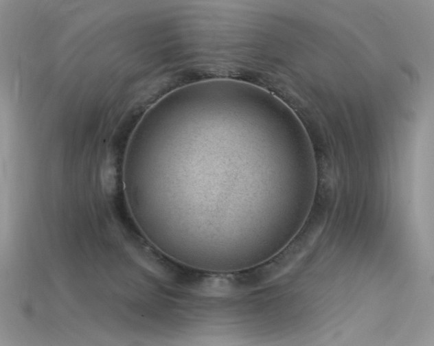 X0000115730080200911121521