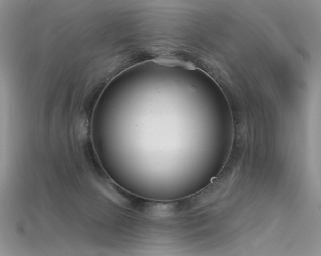 X0000115730081200911121521