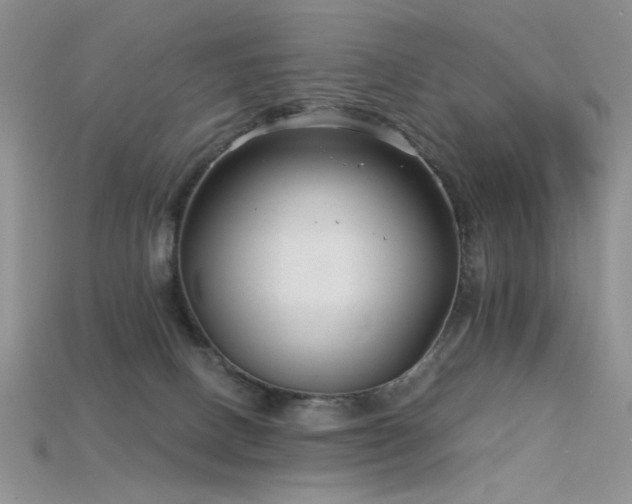 X0000115730082200911121521