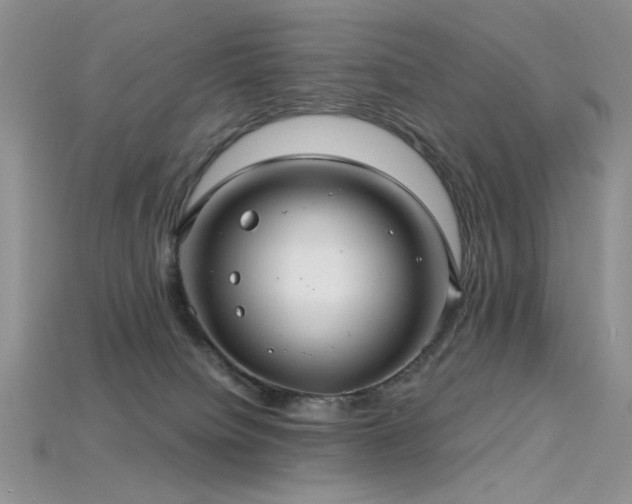 X0000115730084200911121521