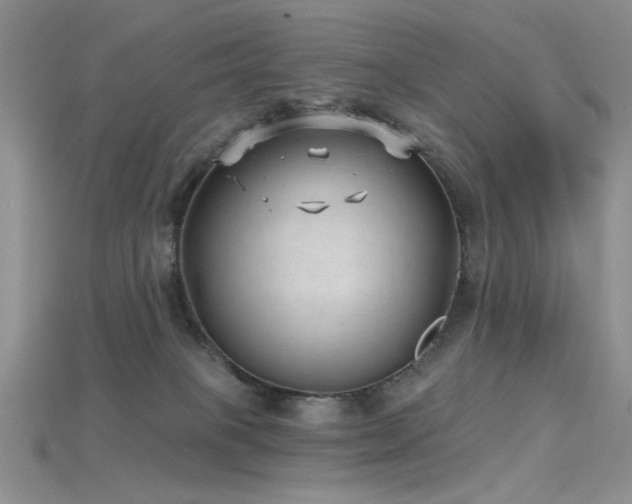 X0000115730085200911121521