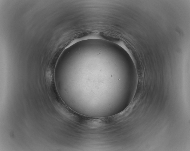 X0000115730086200911121521