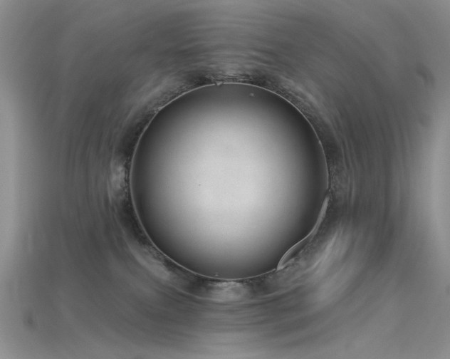 X0000115730087200911121521