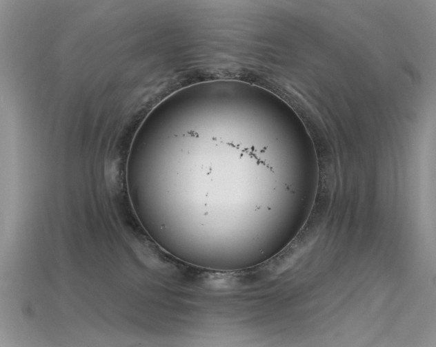 X0000115730088200911121521