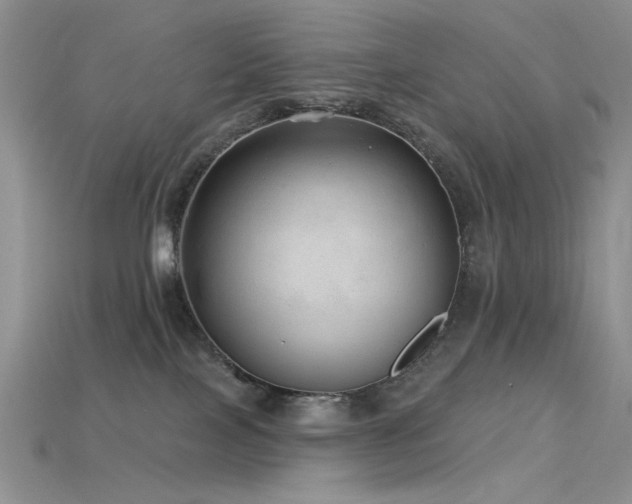 X0000115730089200911121521