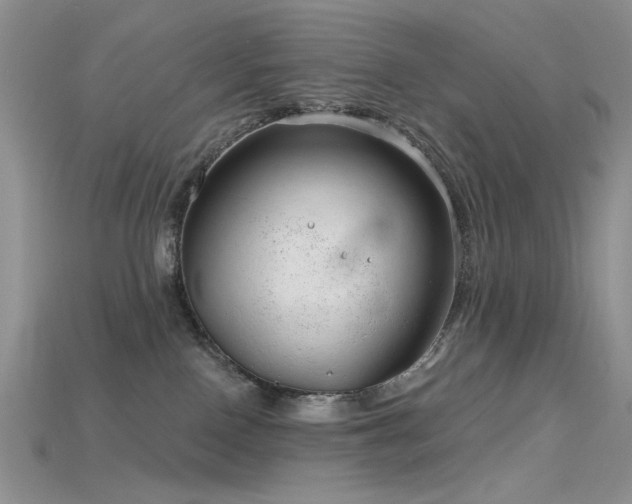 X0000115730090200911121521