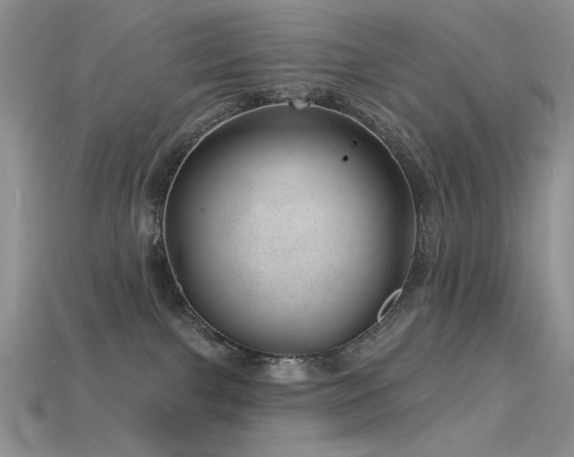 X0000115730091200911121521