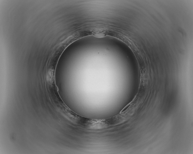 X0000115730093200911121521