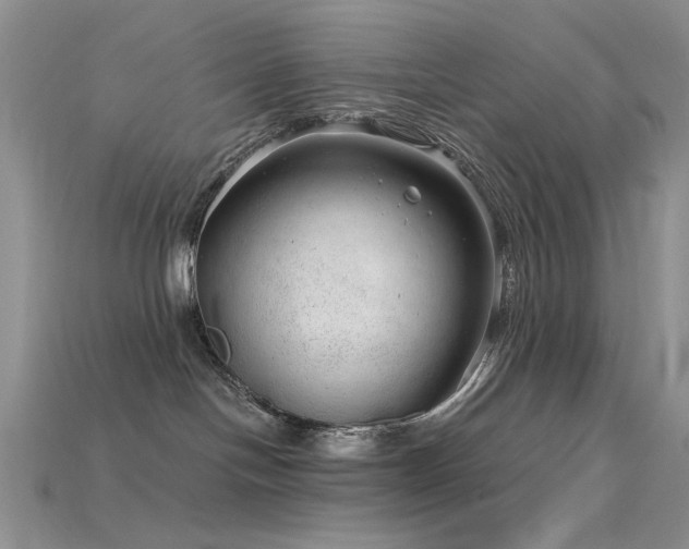 X0000115730094200911121521