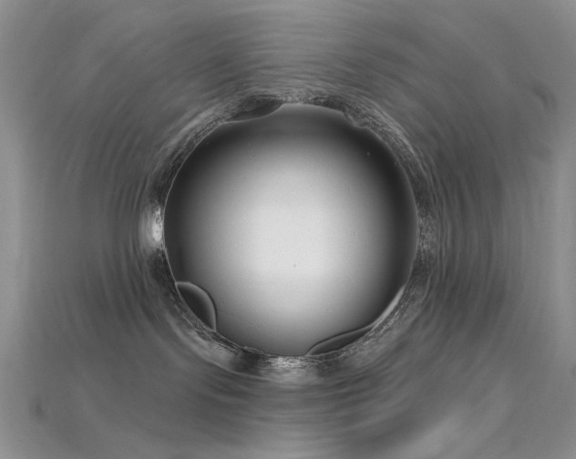 X0000115730095200911121521