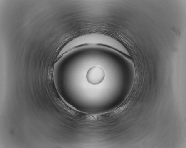 X0000115730096200911121521