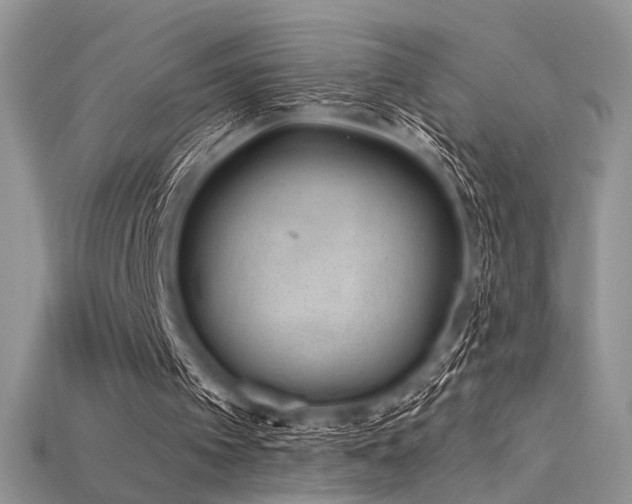 X0000115730097200911121520