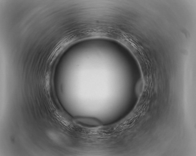 X0000115730098200911121520