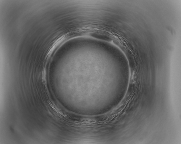 X0000115730099200911121520