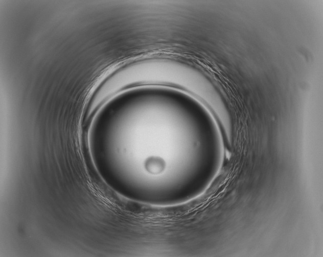 X0000115730100200911121520