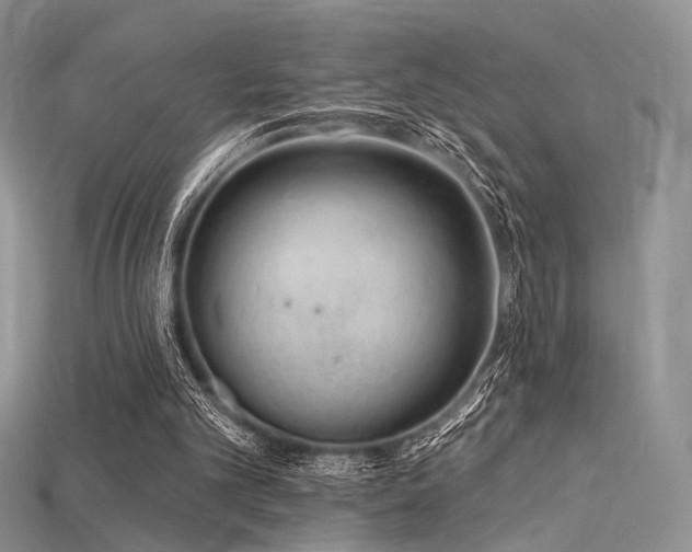 X0000115730101200911121520